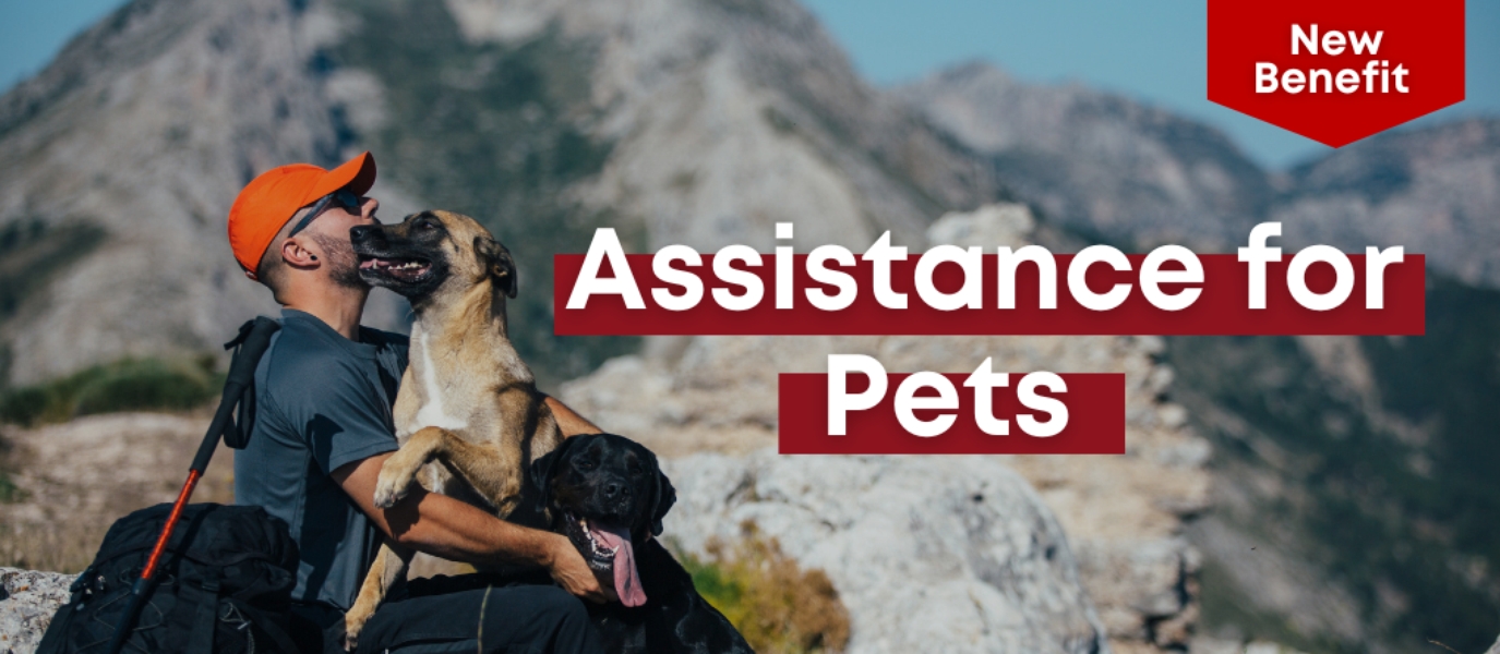 Assistance for Pets